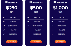 ReadyIDC-泰国VPS服务器/$5.5/月/1核1G内存20GB SSD/不限流量