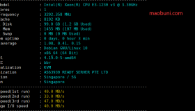 AsiaVm-测评 新加坡8$/月/1.5G内存/100G硬盘/不限流量/100Mbps