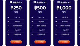 ReadyIDC-泰国VPS服务器/$5.5/月/1核1G内存20GB SSD/不限流量