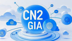 SaltyFish : $14.8/季/荷兰CN2 GIA/1C1G10G硬盘/1T流量/300Mbps SaltyFish : $14.8/季/荷兰CN2 GIA/1C1G10G硬盘/1T流量/300Mbps